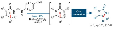 TOC for photochem OL